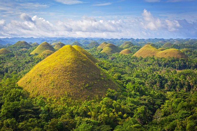 Things to do in Bohol