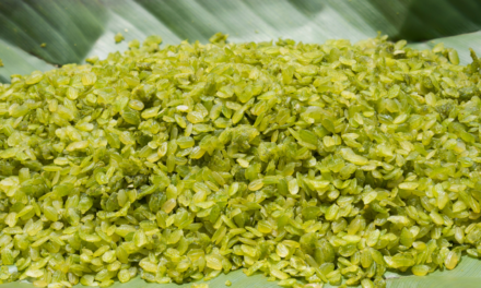 Is the World’s Most Expensive Rice Found in the Philippines?