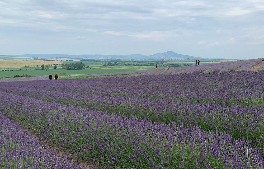 Summer’s Here! Unique and Budget-Friendly Escapes and Experiences in the Czech Republic