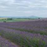 Summer’s Here! Unique and Budget-Friendly Escapes and Experiences in the Czech Republic