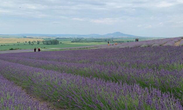Summer’s Here! Unique and Budget-Friendly Escapes and Experiences in the Czech Republic