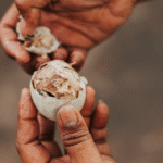 Not-So-Exotic, Totally Yummy 6 Filipino Dishes to Try