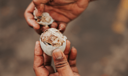 Not-So-Exotic, Totally Yummy 6 Filipino Dishes to Try