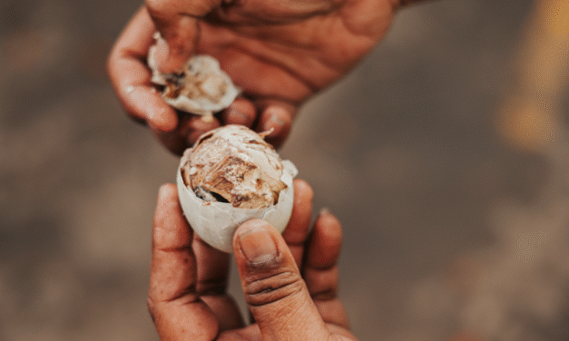 Not-So-Exotic, Totally Yummy 6 Filipino Dishes to Try