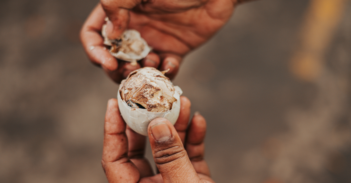 Not-So-Exotic, Totally Yummy 6 Filipino Dishes to Try